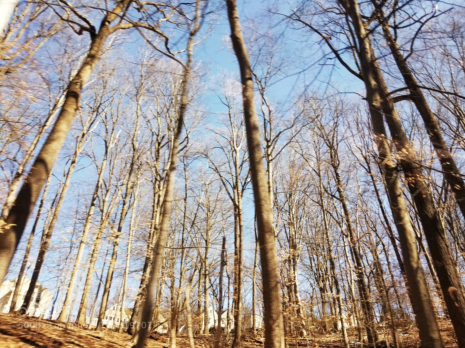 Samsung Galaxy S8+ sample photo. Untitled photography