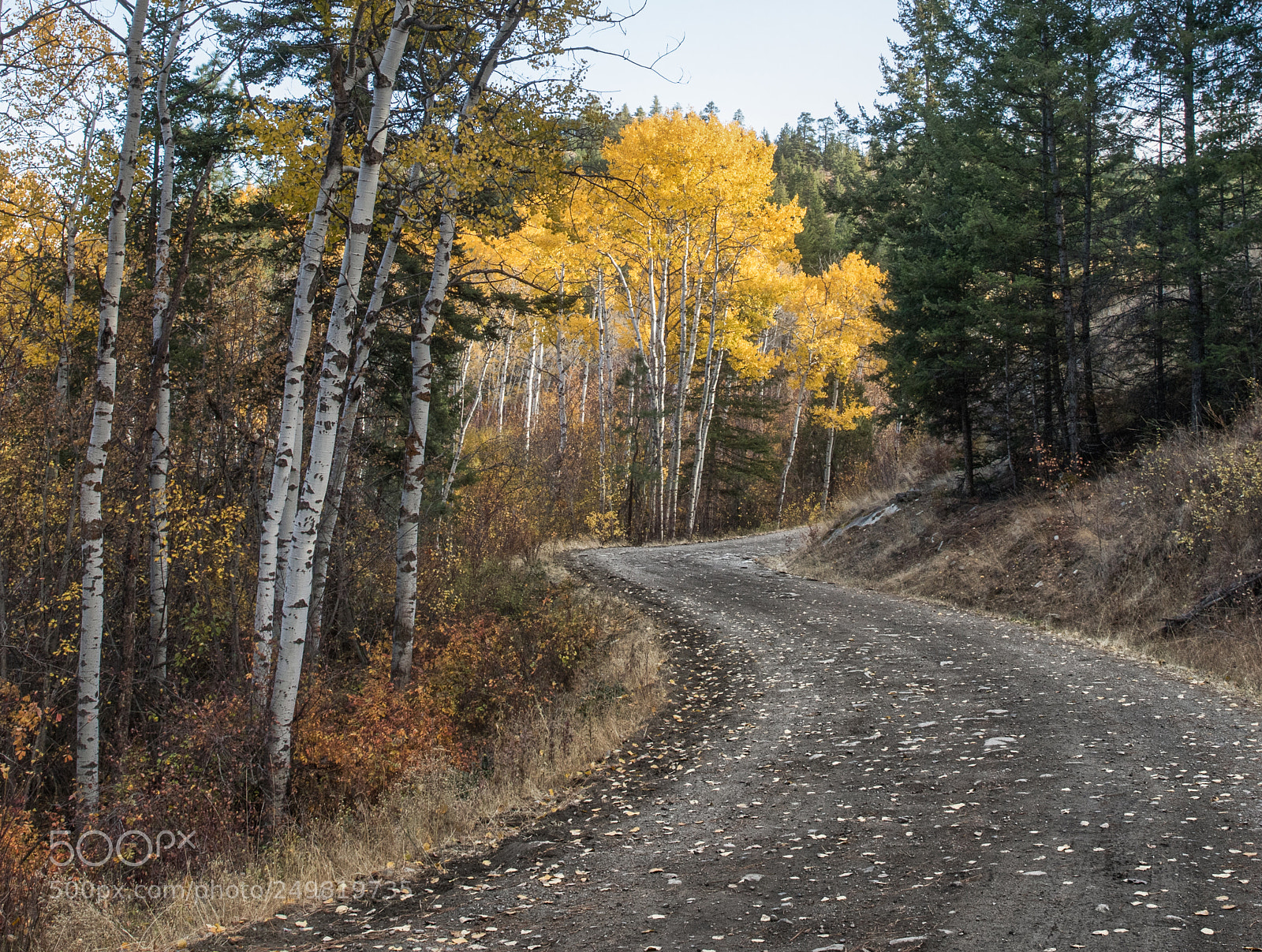 Canon EOS 5D Mark IV sample photo. Fall osoyoos bc photography