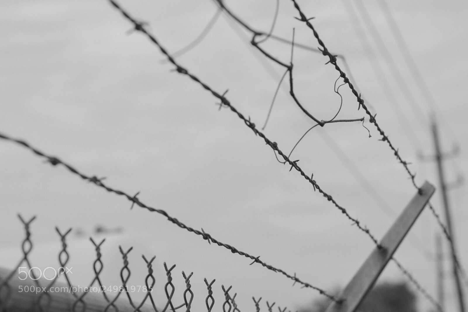 Nikon D3300 sample photo. Fear in letting go photography