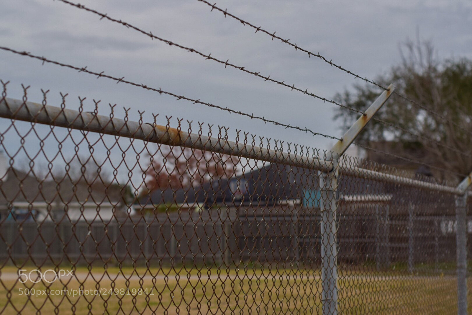 Nikon D3300 sample photo. Trapped in suburbia photography