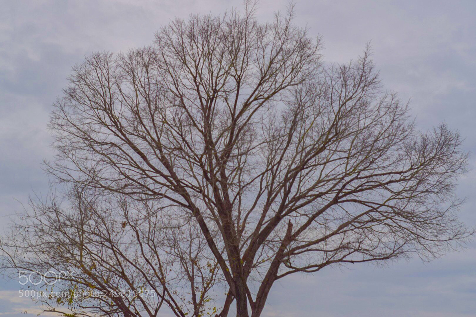 Nikon D3300 sample photo. Majesty photography