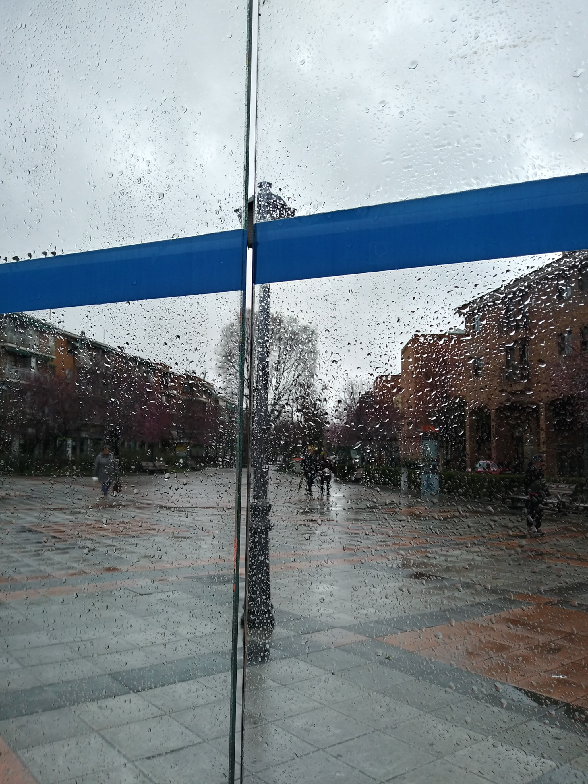 LG Q6 sample photo. Lluvia photography