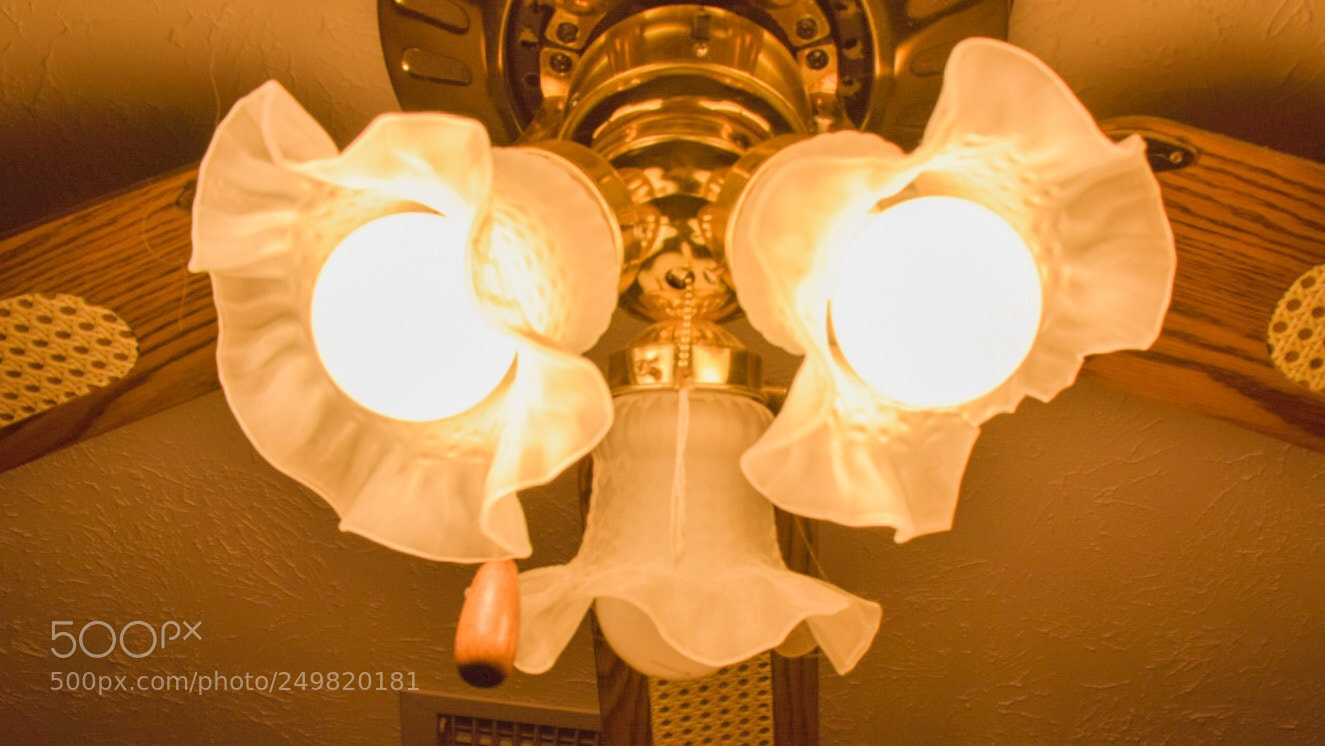 Nikon D3300 sample photo. Electricity part 2 photography