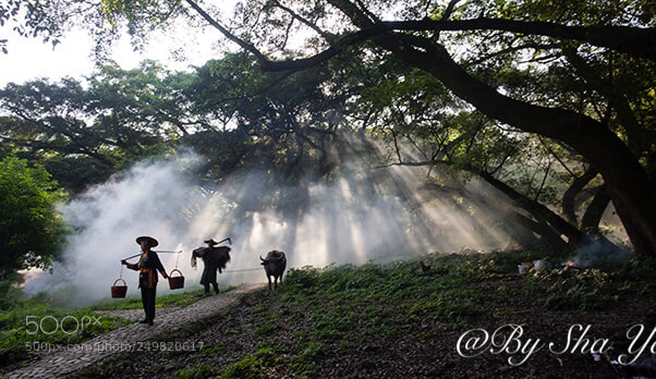 Nikon D610 sample photo. Untitled photography