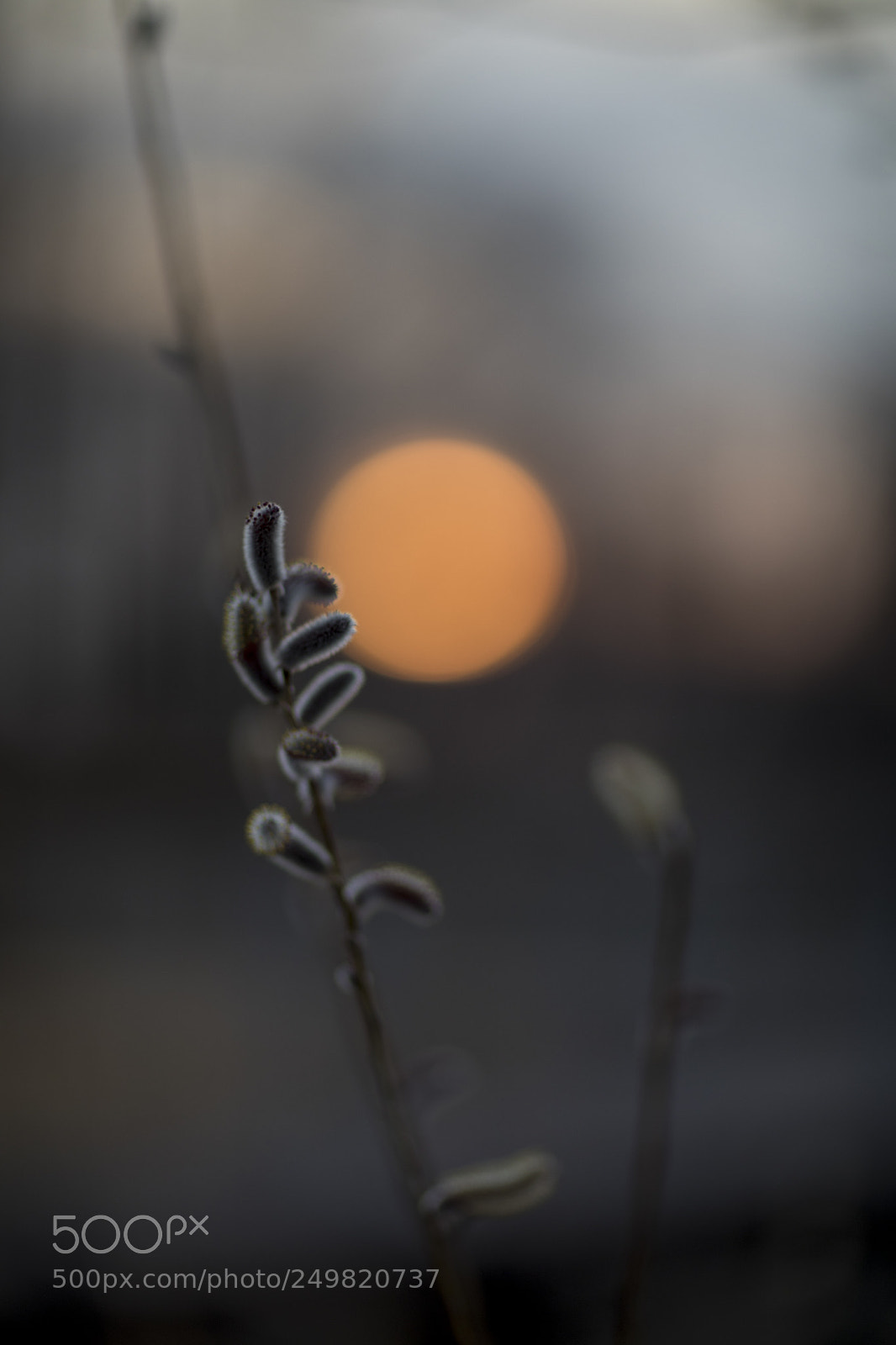 Canon EOS 5D Mark IV sample photo. Sundown photography