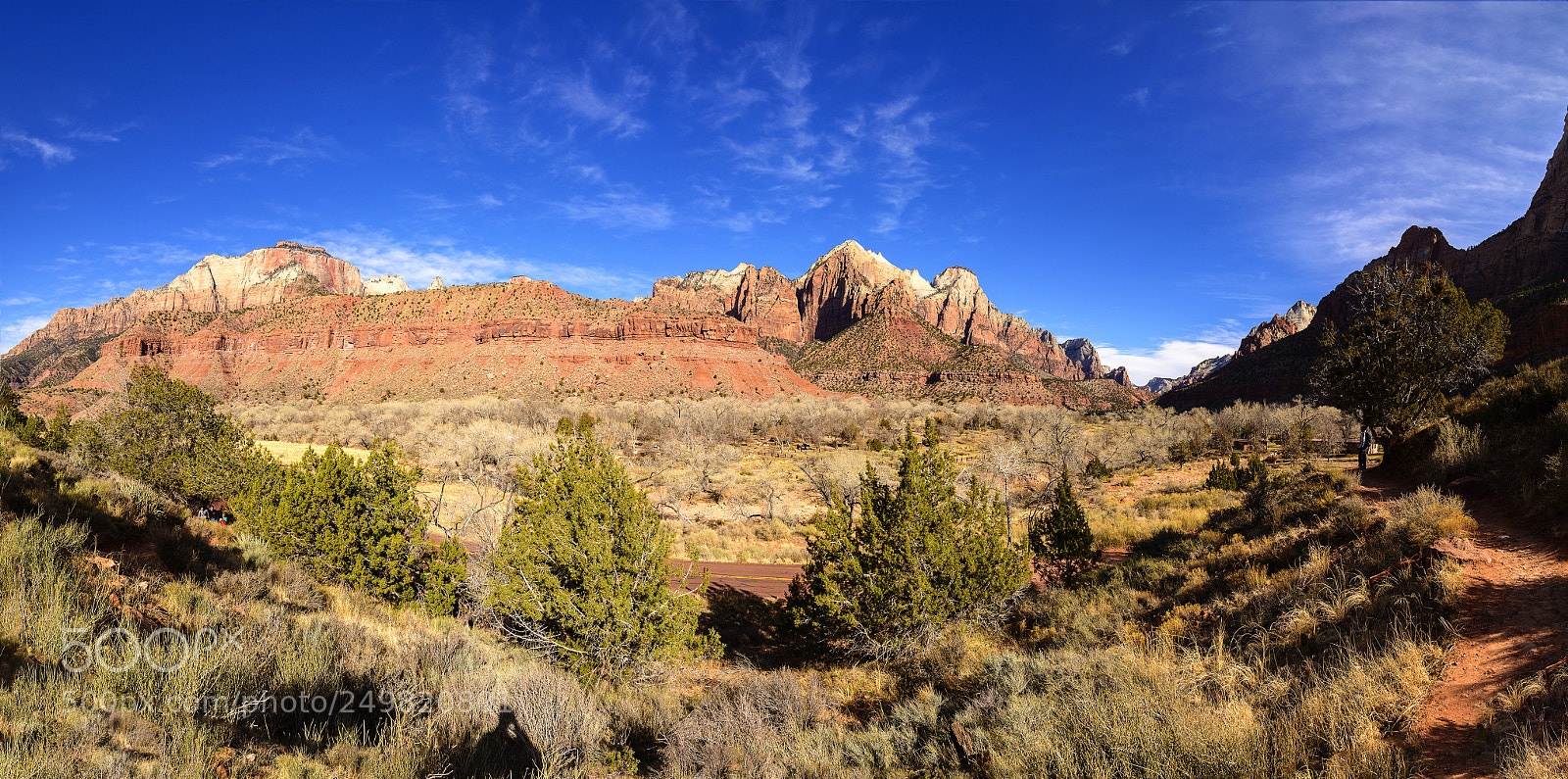 Nikon D800 sample photo. Base of watchman trail photography