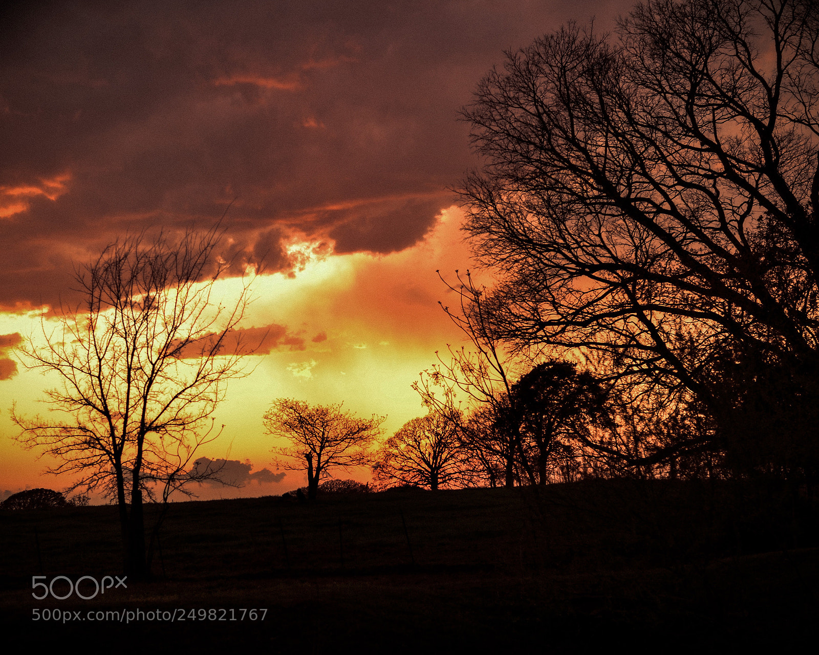 Nikon D3100 sample photo. March sunset photography
