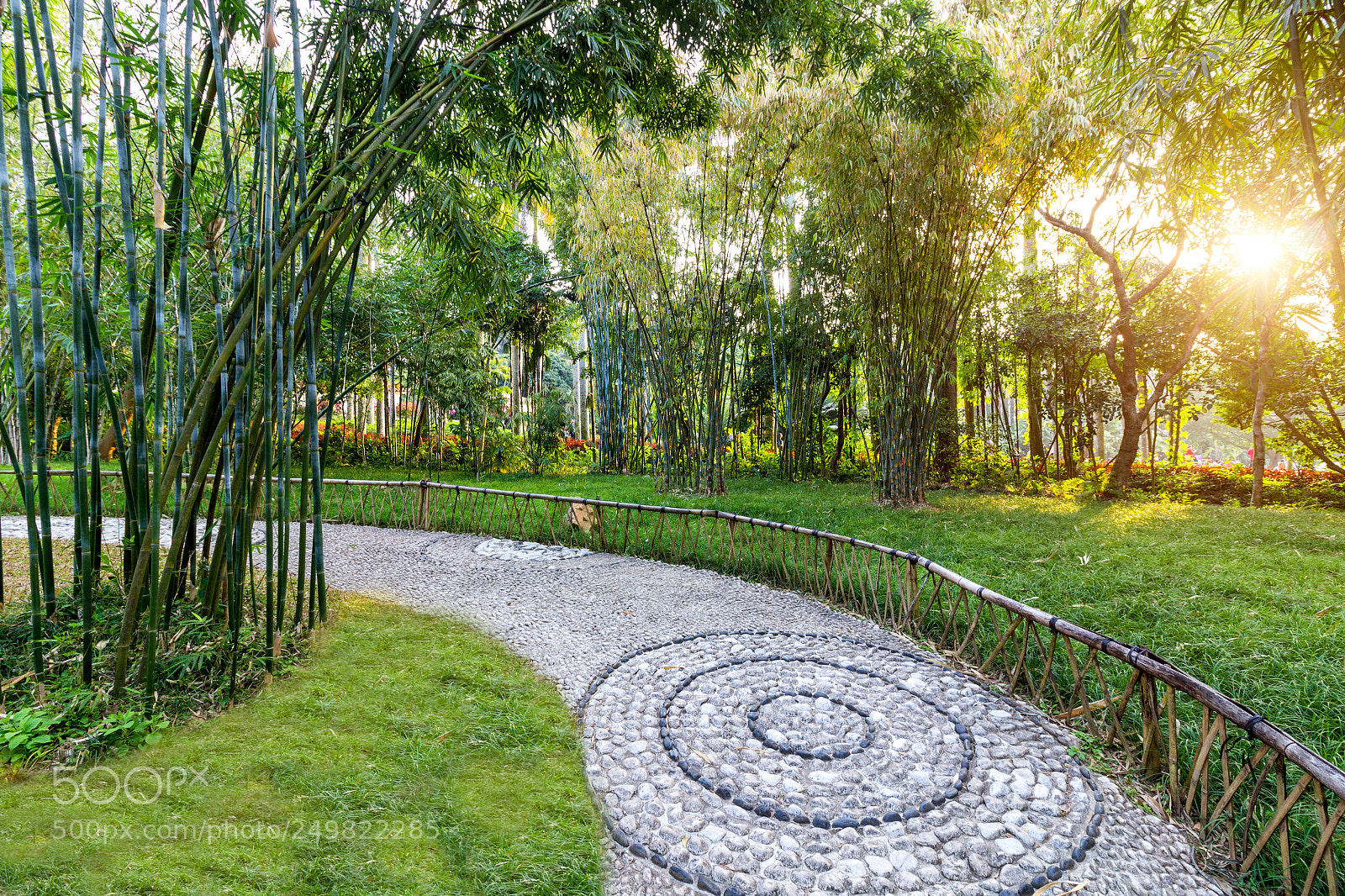 Canon EOS 600D (Rebel EOS T3i / EOS Kiss X5) sample photo. Bamboo forest and path photography