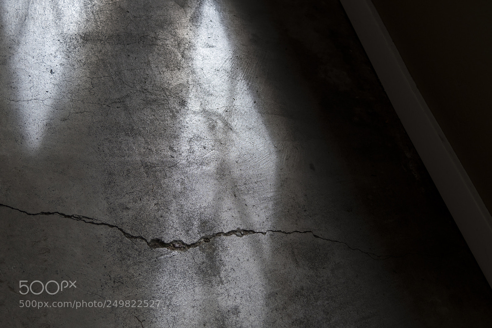 Nikon D500 sample photo. Window light photography