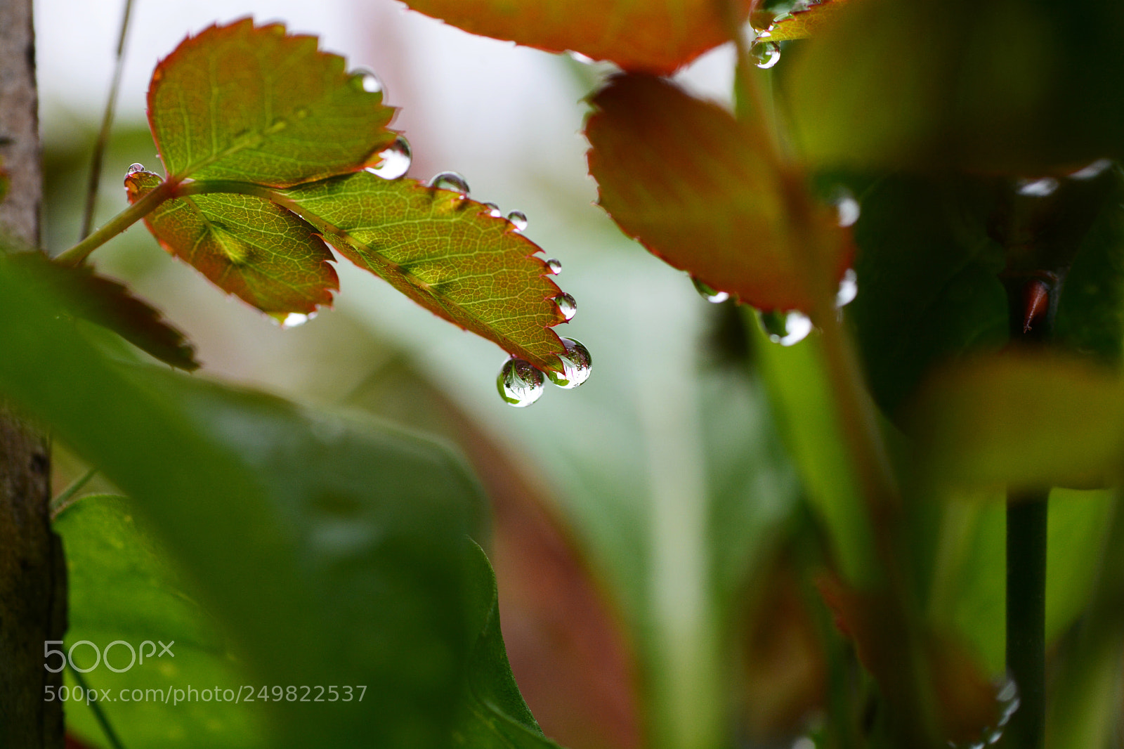 Nikon D7100 sample photo. Untitled photography