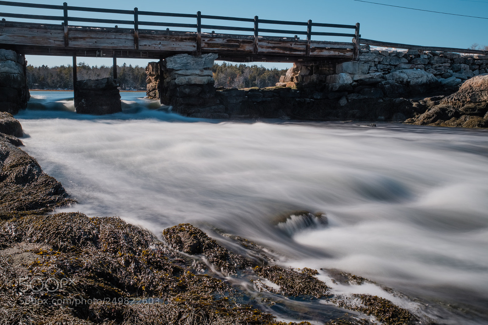 Fujifilm X-Pro2 sample photo. Reid state park photography