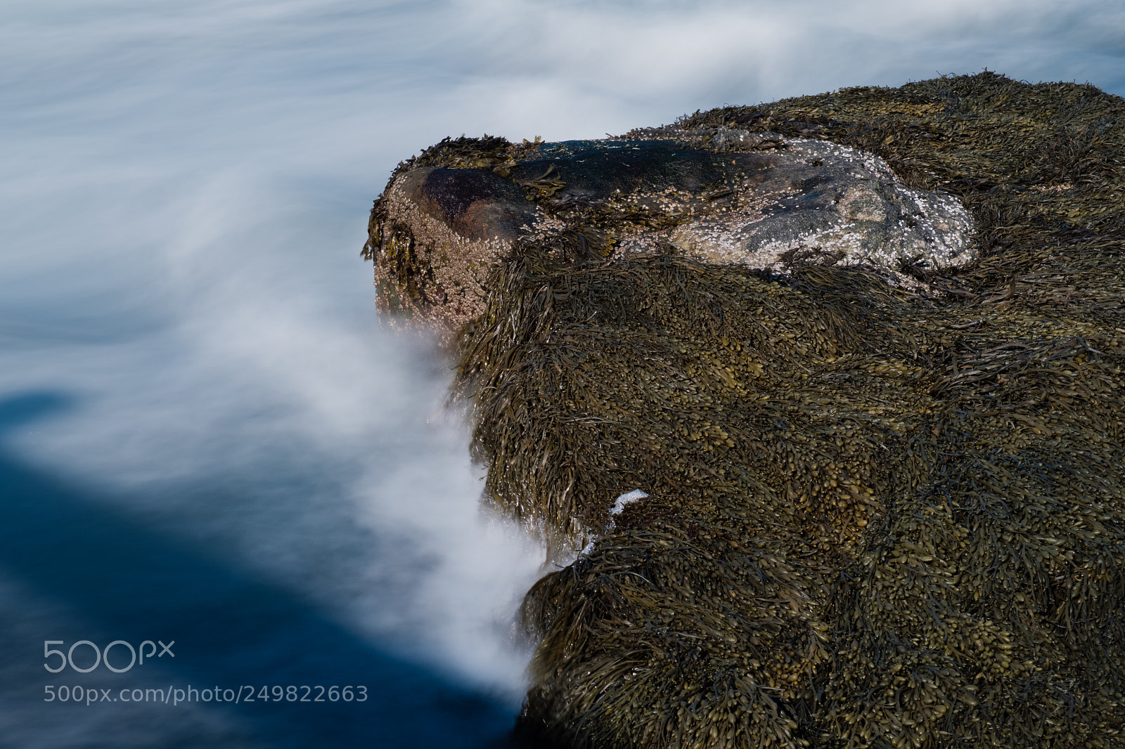 Fujifilm X-Pro2 sample photo. Reid state park photography