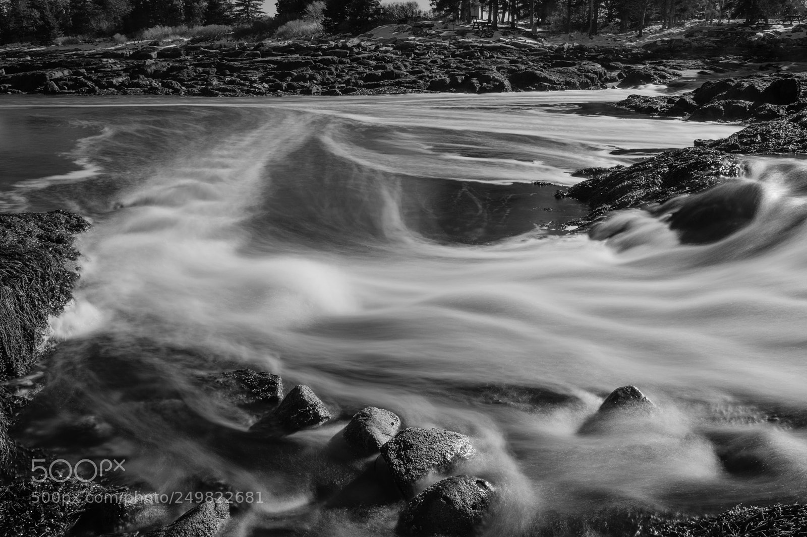 Fujifilm X-Pro2 sample photo. Reid state park photography
