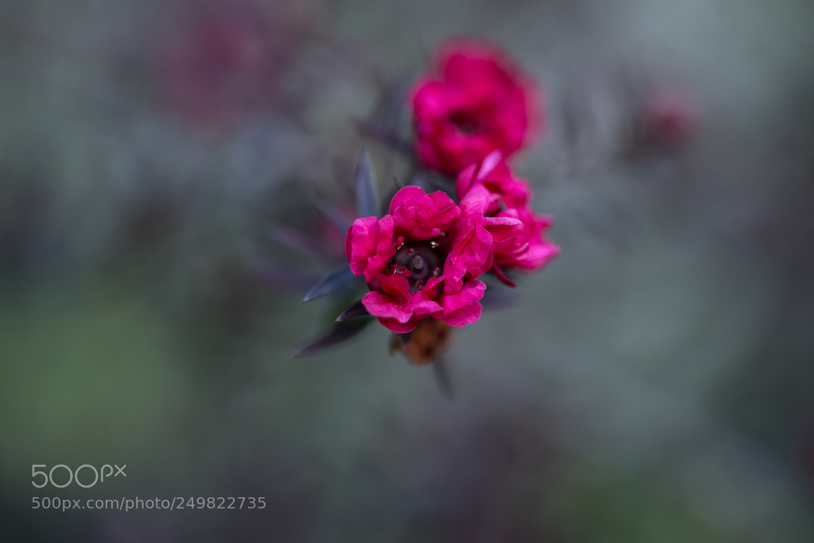 Nikon D610 sample photo. The vortex photography