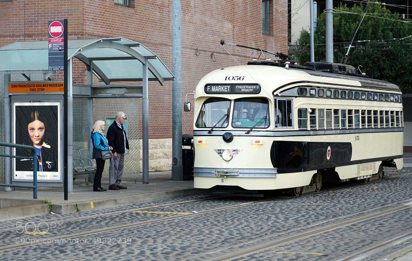 Sony a7R II sample photo. Dsc photography