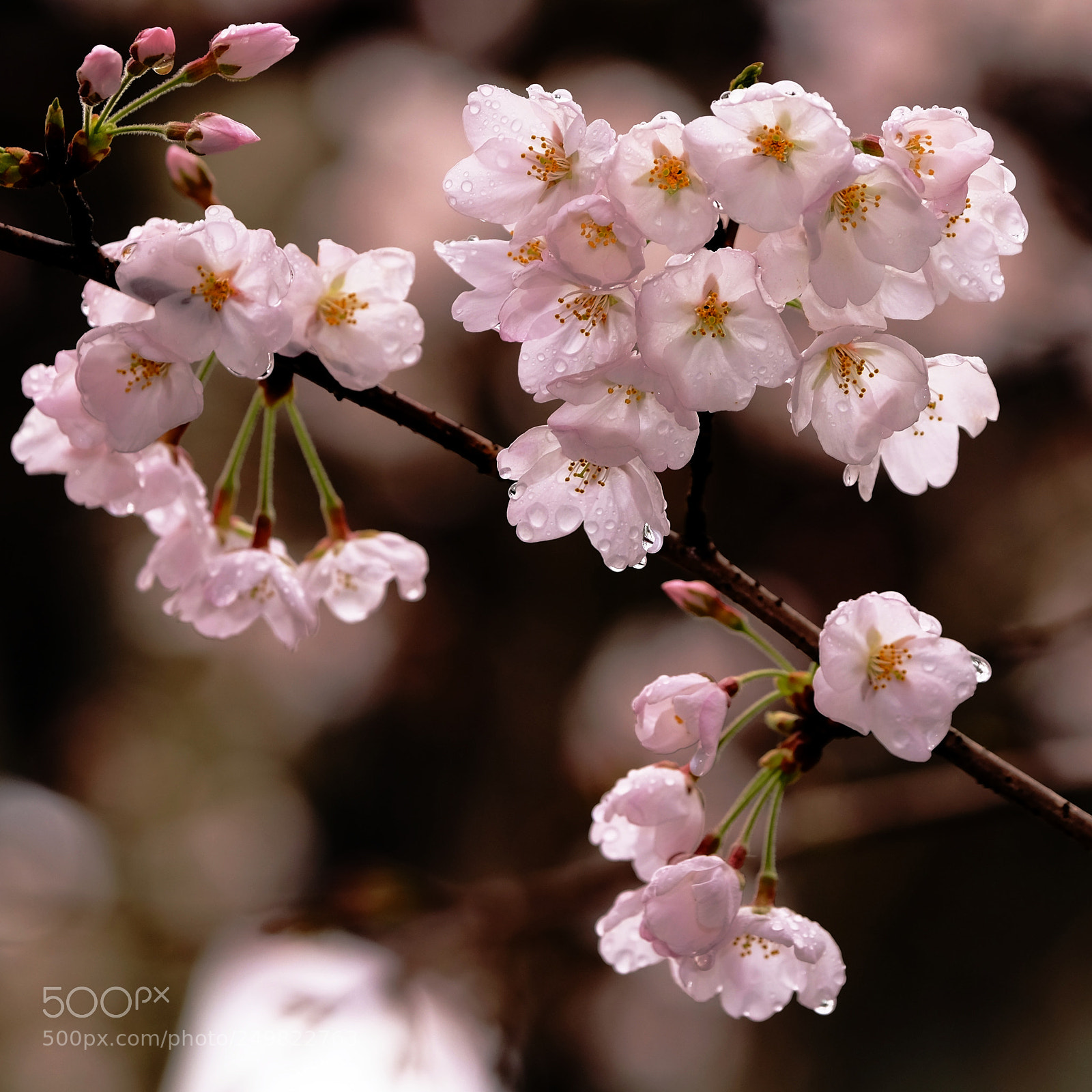 Fujifilm X-T1 sample photo. Untitled photography