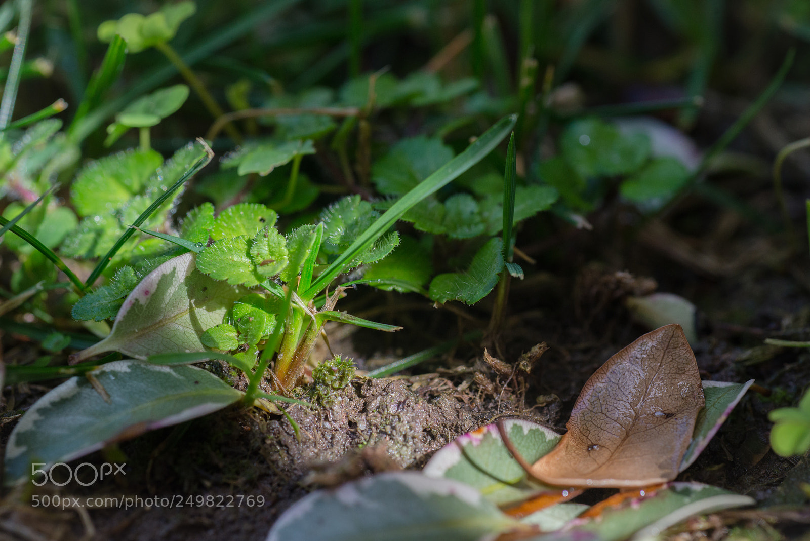 Nikon D610 sample photo. Untitled photography