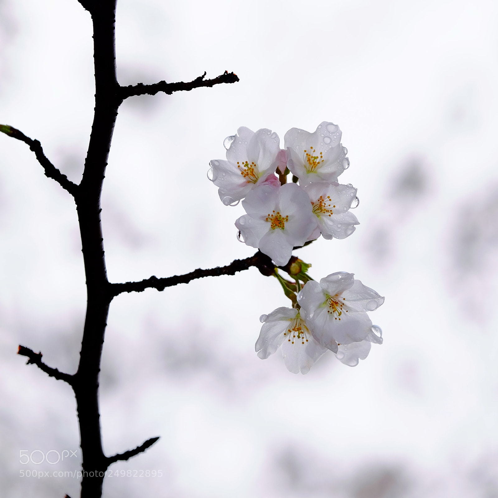Fujifilm X-T1 sample photo. Untitled photography