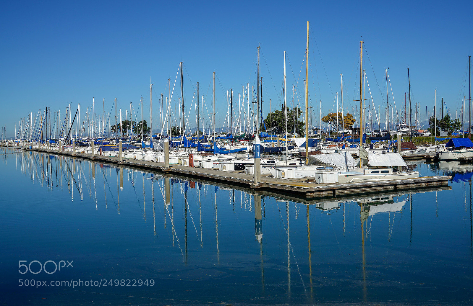 Sony a7R II sample photo. Dsc photography