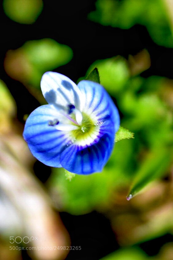 Nikon D7200 sample photo. Light and shade photography