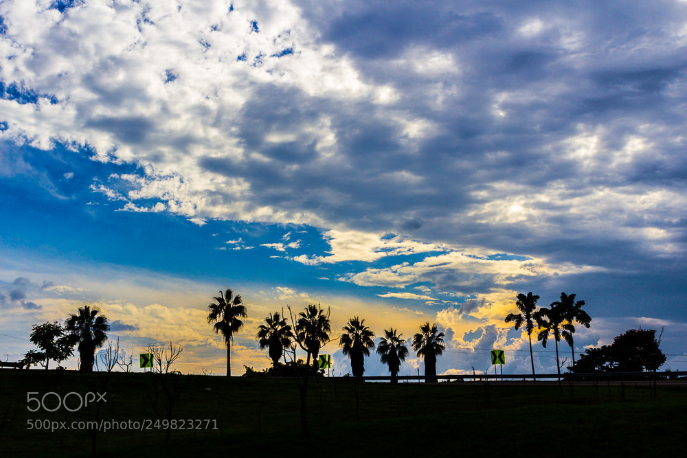 Canon EOS 600D (Rebel EOS T3i / EOS Kiss X5) sample photo. Sunset on the road photography
