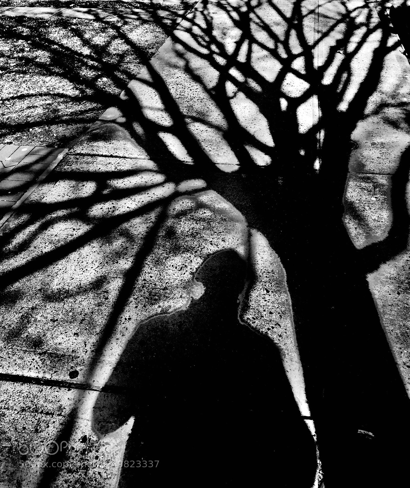 Apple iPhone 6 Plus sample photo. “selfie shadow texture” photography