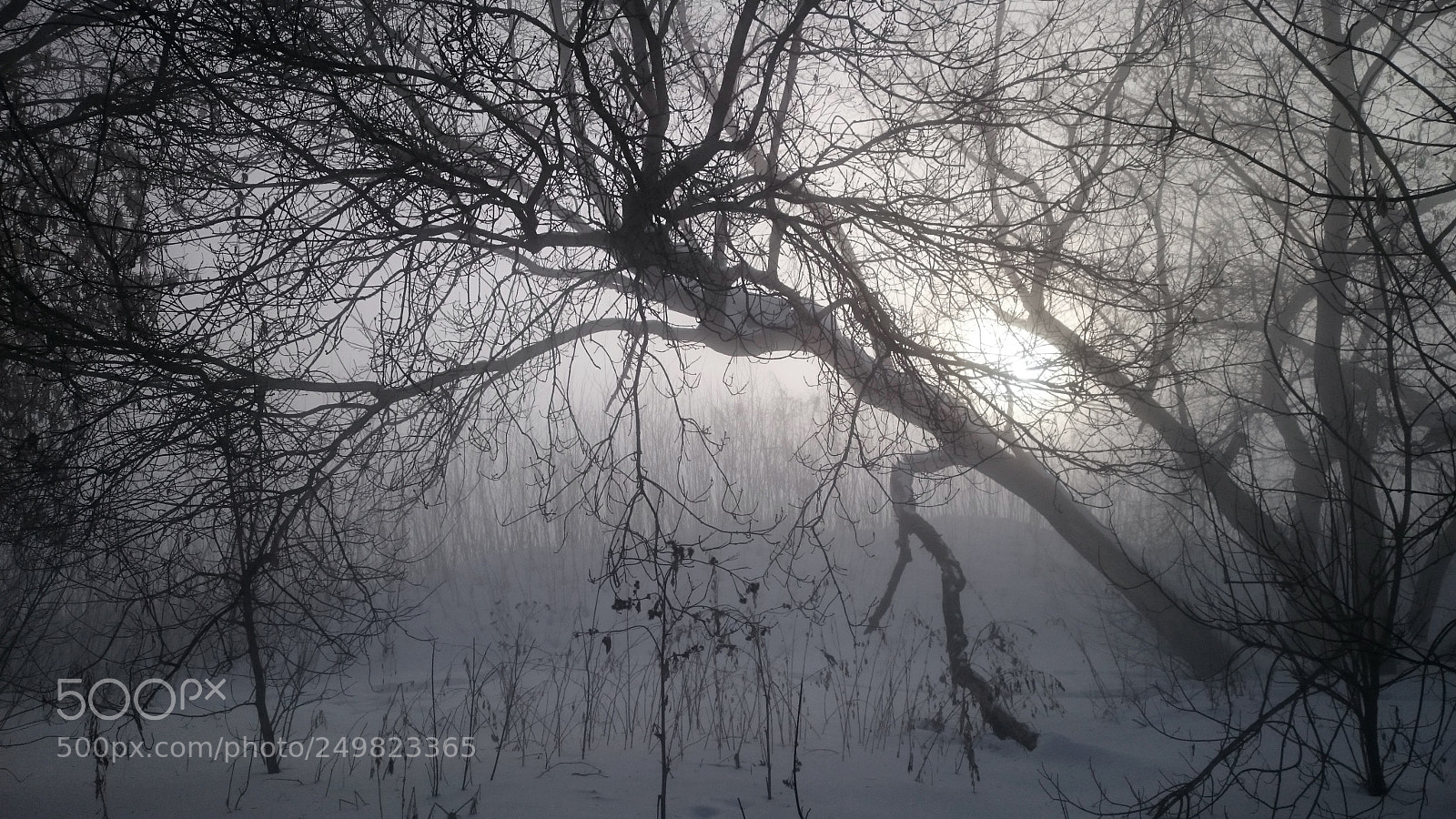 Sony Xperia Z2 sample photo. Ice fog photography