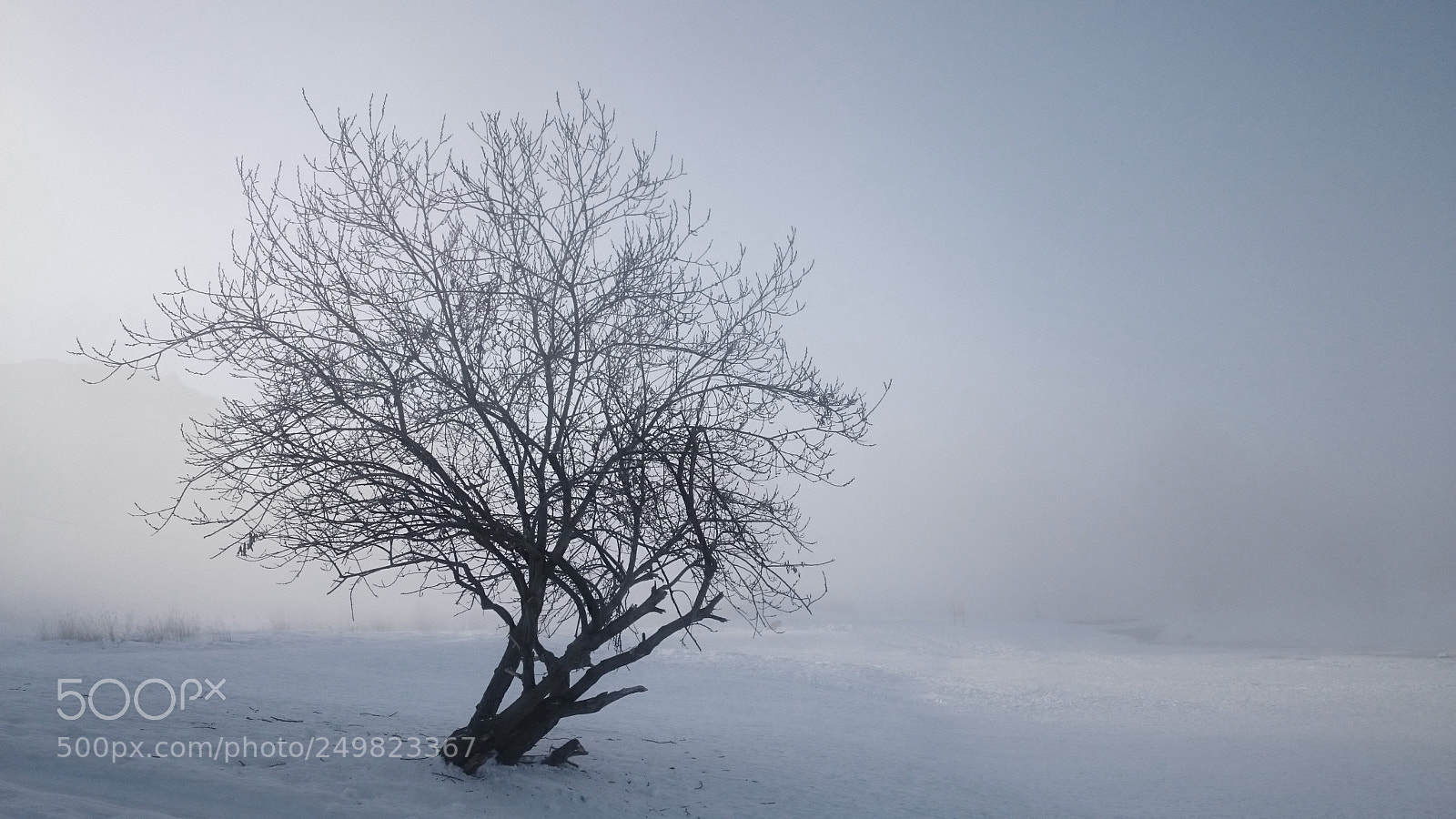Sony Xperia Z2 sample photo. Ice fog photography