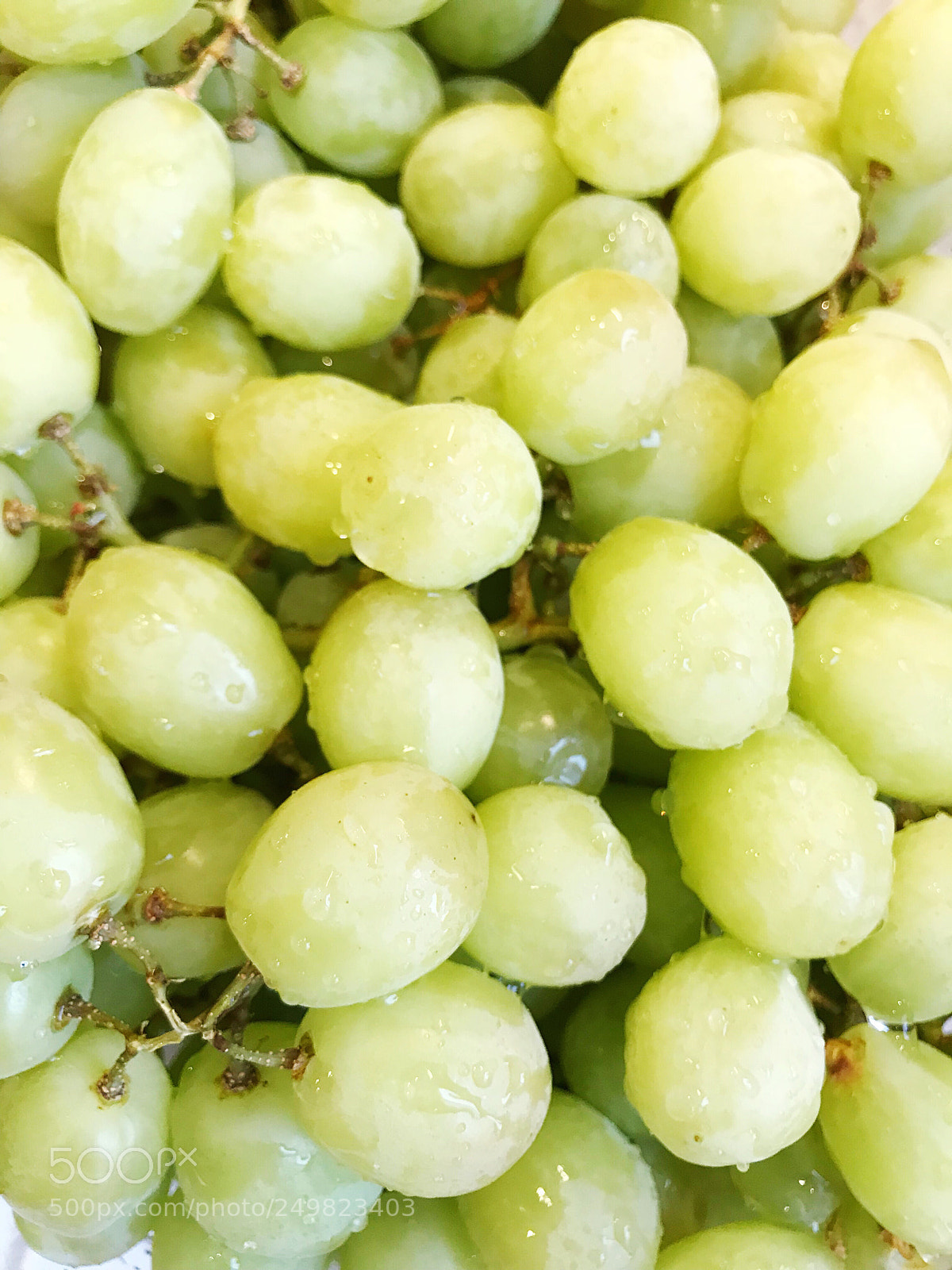 Apple iPhone 7 Plus sample photo. Fresh grapes photography