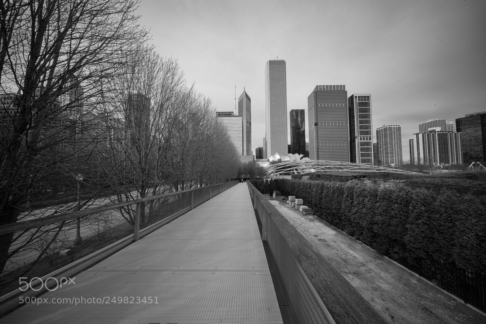 Sony a7R sample photo. Chicago treeline/skyline photography