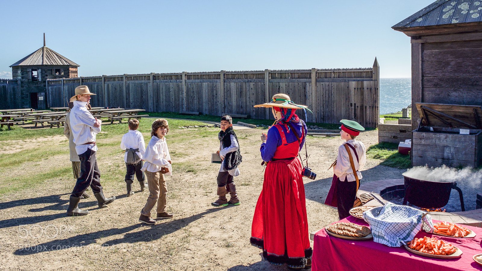 Nikon D7200 sample photo. Fort ross state park photography
