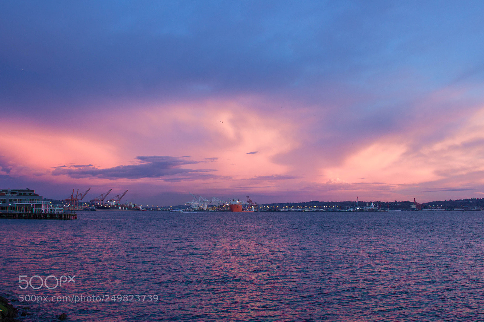Canon EOS 600D (Rebel EOS T3i / EOS Kiss X5) sample photo. The pink seattle sunset photography