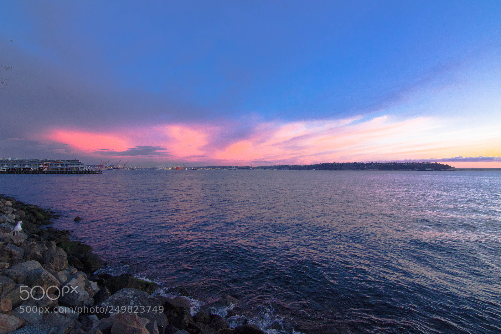 Canon EOS 600D (Rebel EOS T3i / EOS Kiss X5) sample photo. The pink seattle sunset photography