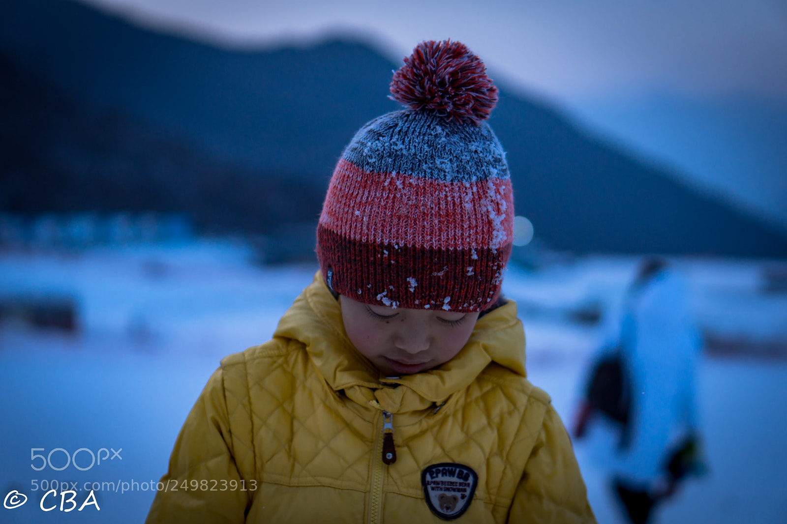 Sony a6300 sample photo. 南方人眼中的雪 photography