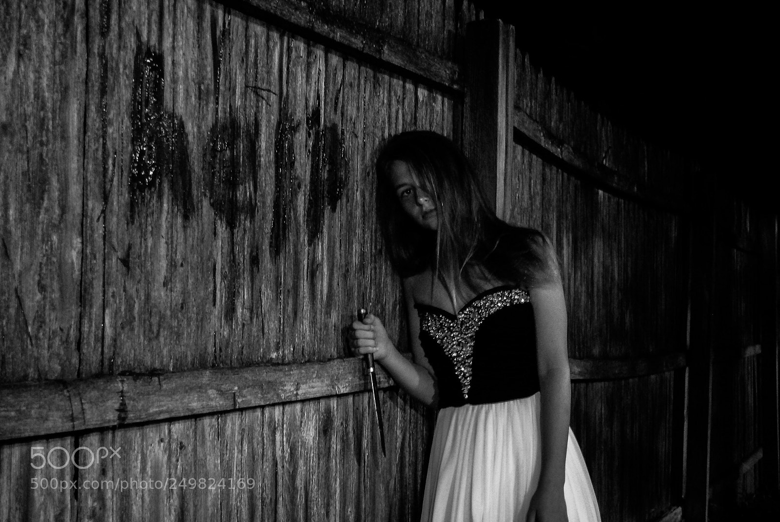 Nikon D3000 sample photo. Welshconceptual photography