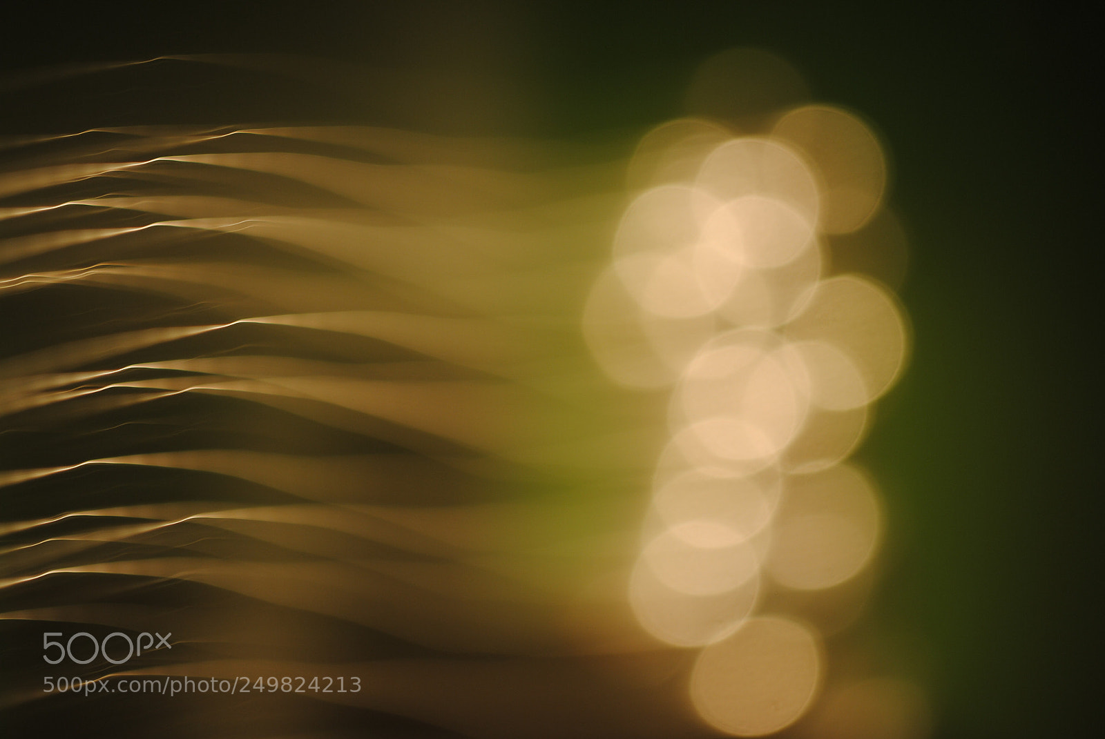 Nikon D3000 sample photo. Welshtimeexposure photography