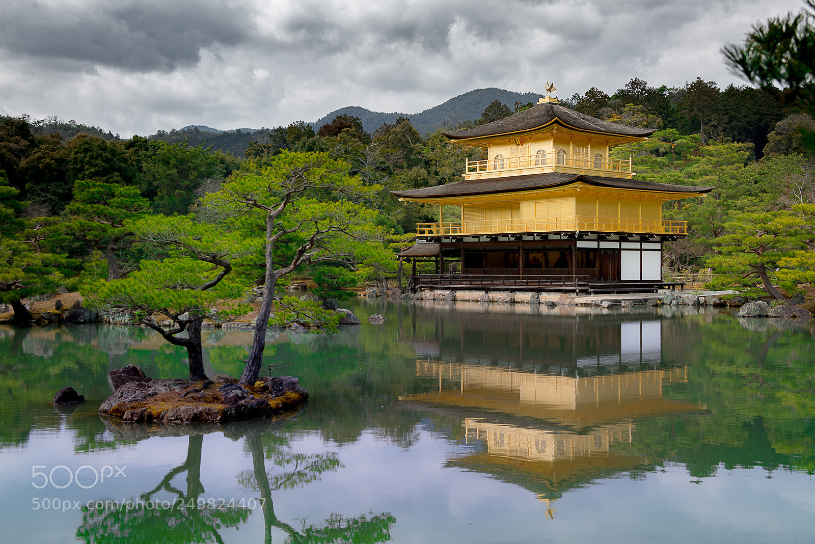 Nikon D800E sample photo. Kinkakuji (golden pavilion) photography
