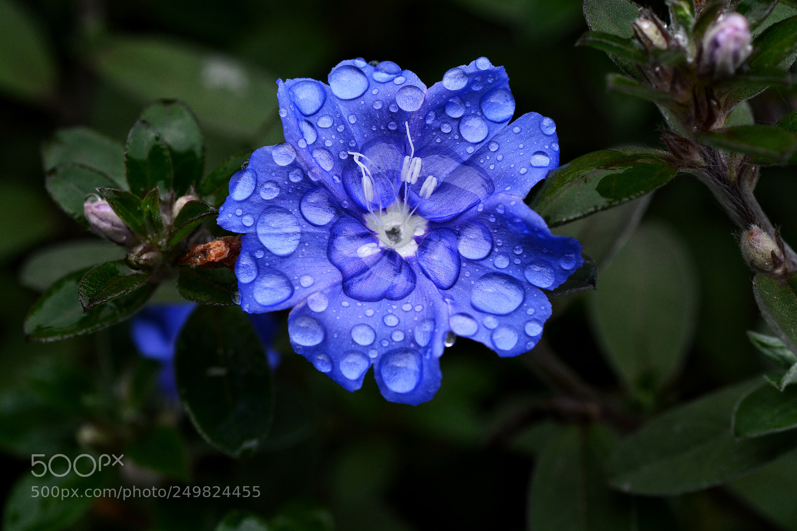 Nikon D7100 sample photo. Untitled photography