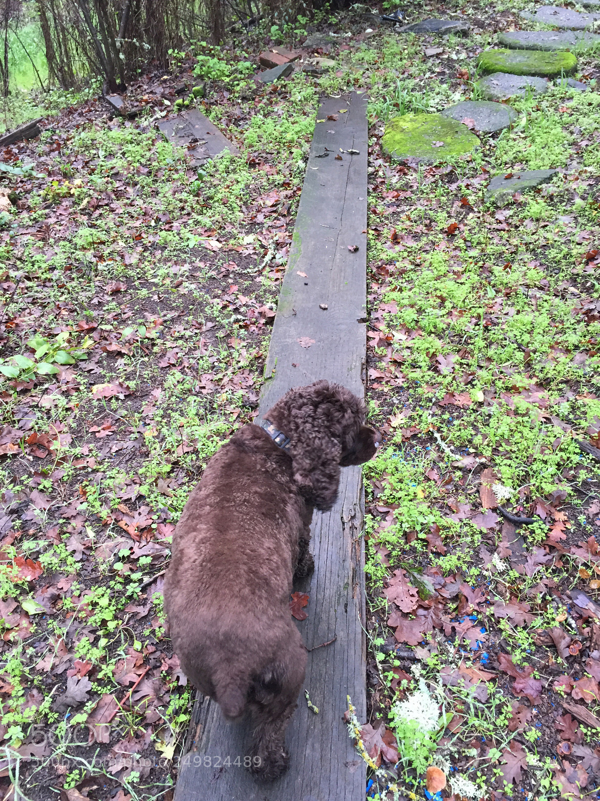 Apple iPhone 6 sample photo. Balance beam photography