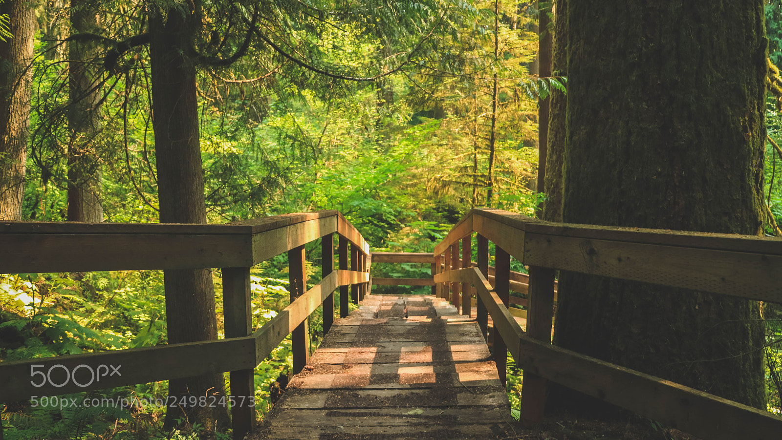 Canon EOS M3 sample photo. Forest, walk way photography