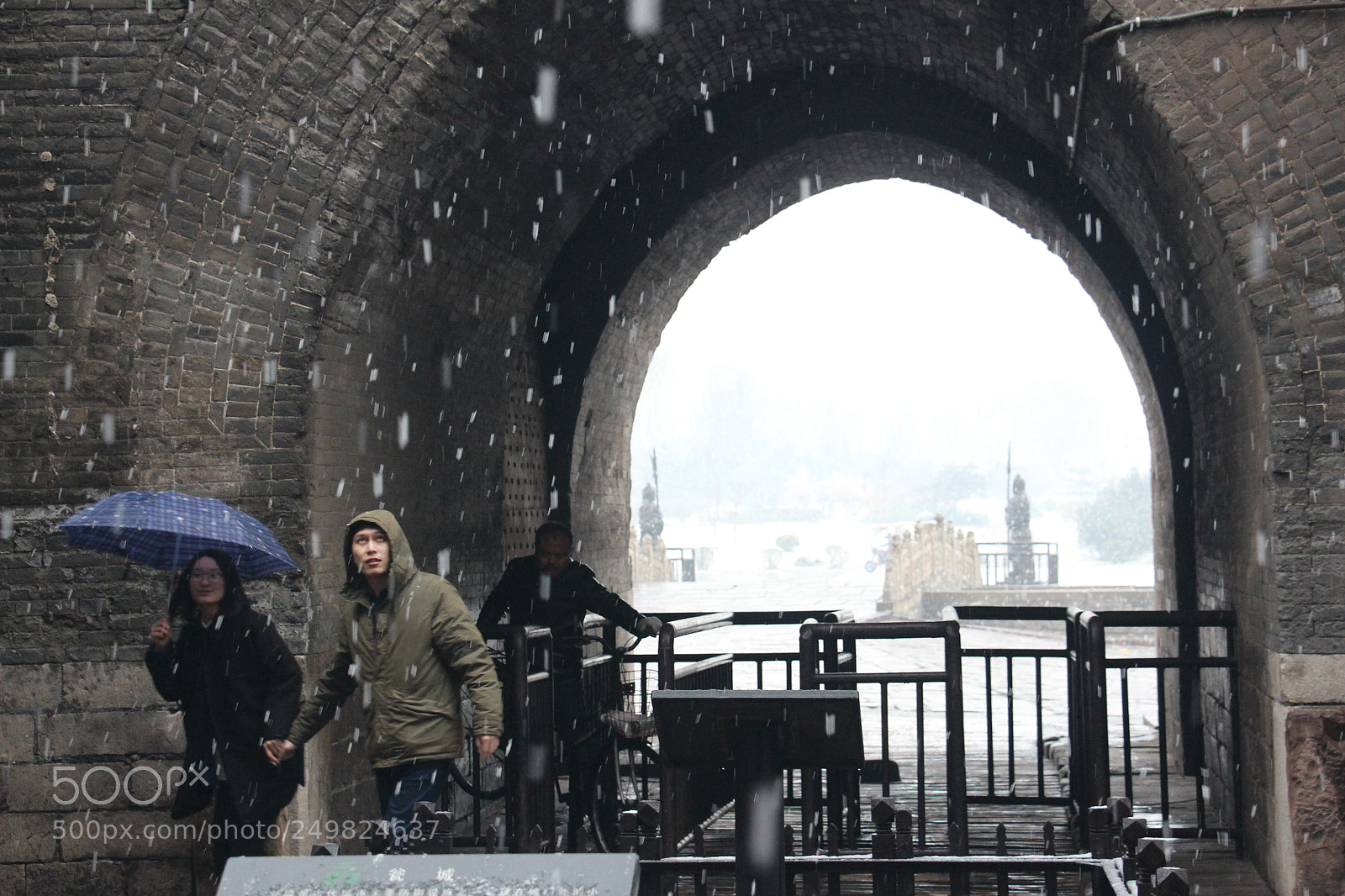 Canon EOS 700D (EOS Rebel T5i / EOS Kiss X7i) sample photo. 雪中情 photography