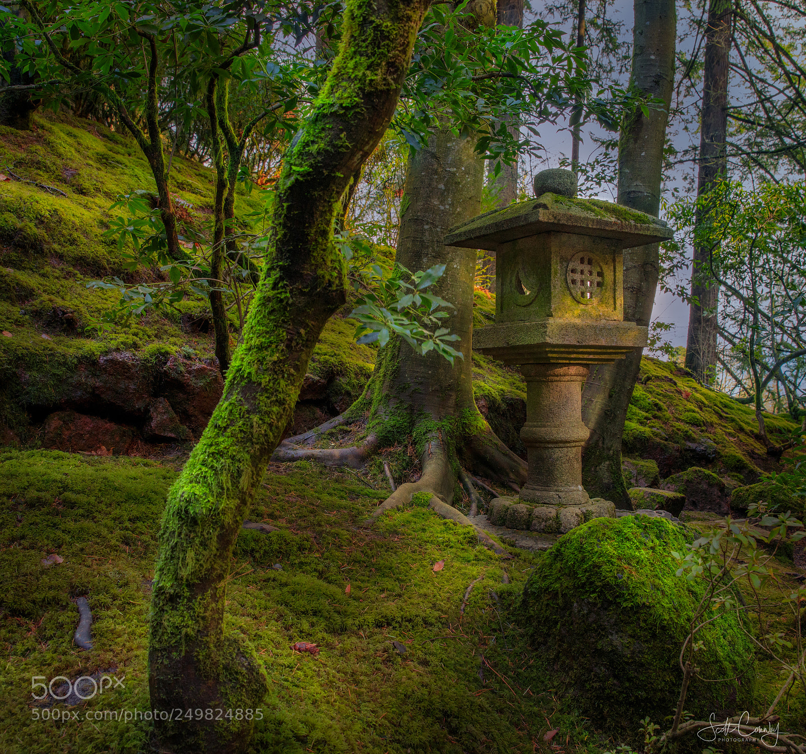 Canon EOS 5D Mark IV sample photo. Portaland japenese gardens photography