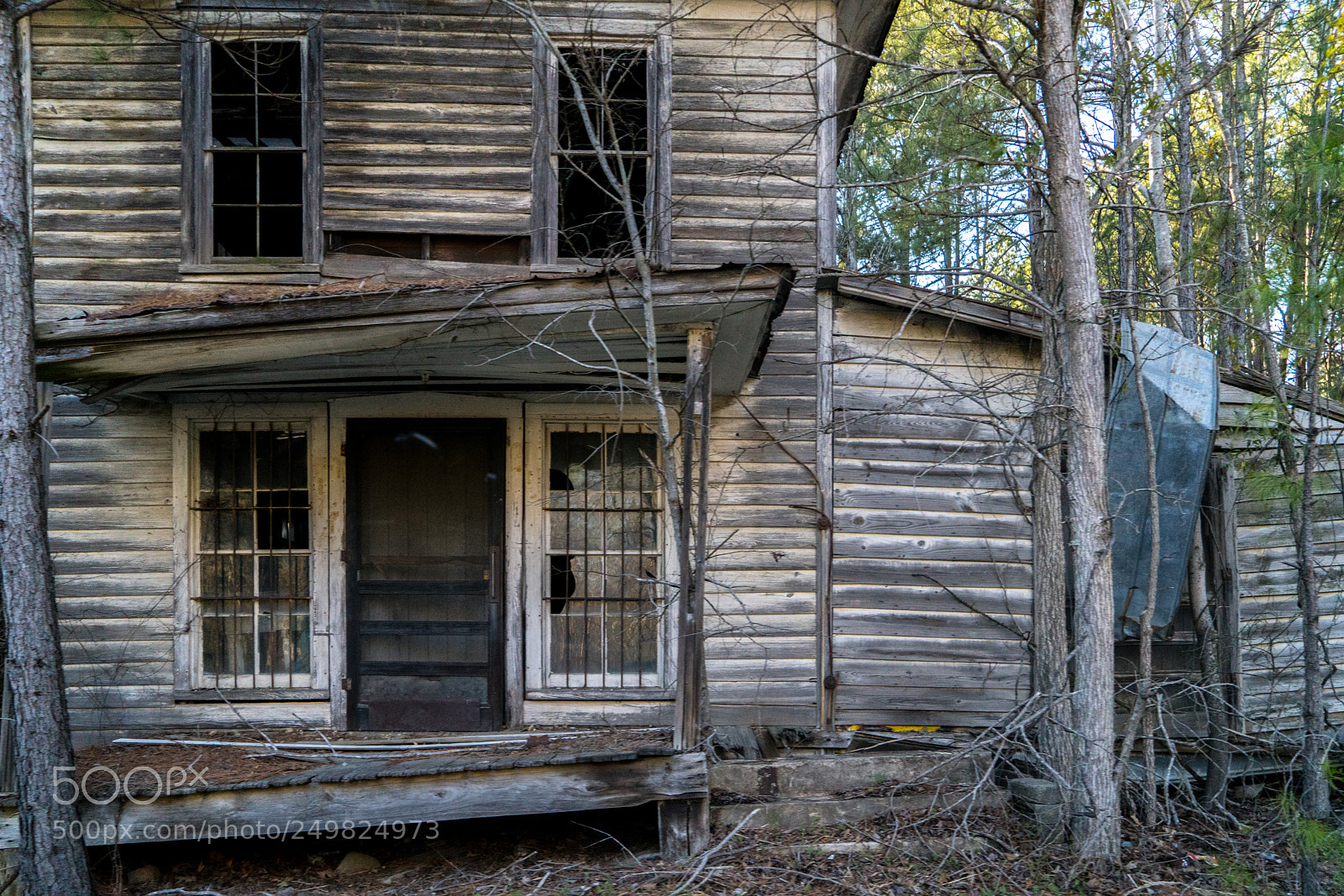 Sony a7R II sample photo. Random photography