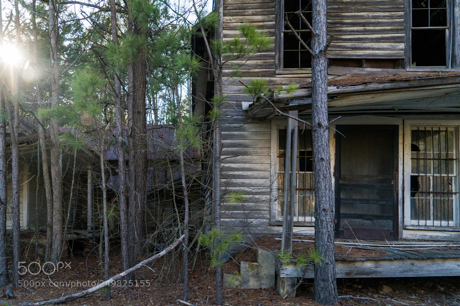 Sony a7R II sample photo. Random photography