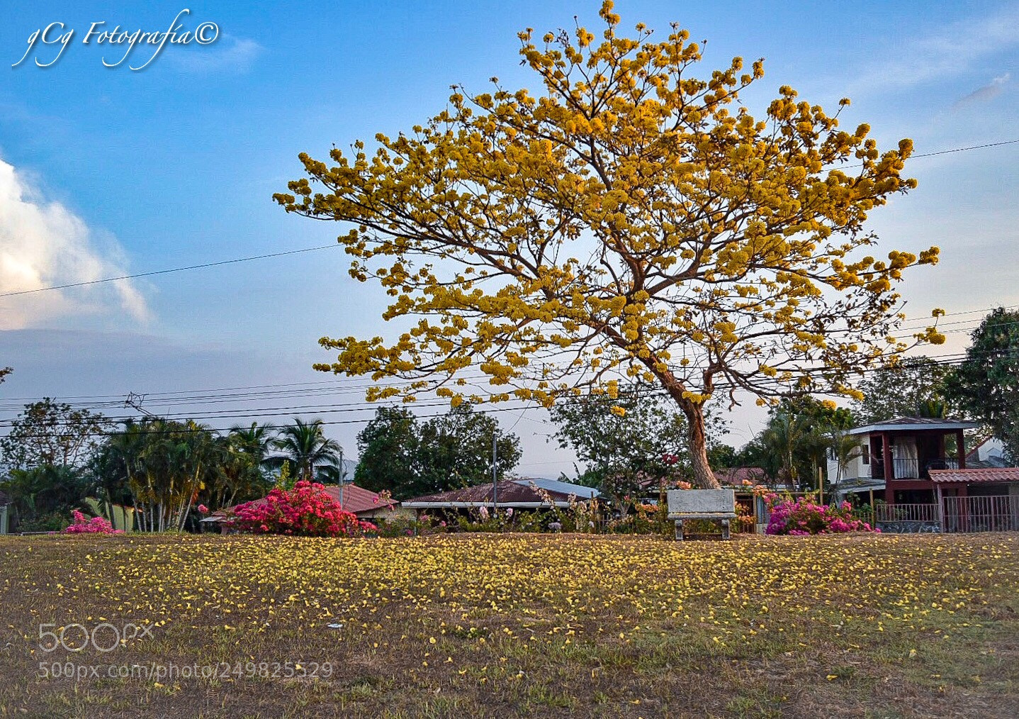 Nikon D5500 sample photo. Haz de cualquier lugar photography