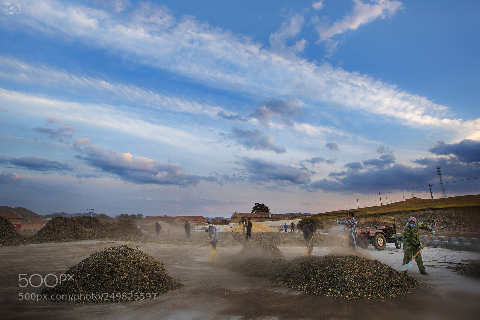 Canon EOS-1D X Mark II sample photo. Busy farmers photography
