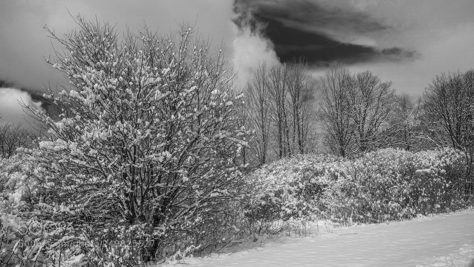 Nikon D810 sample photo. Clearing storm photography