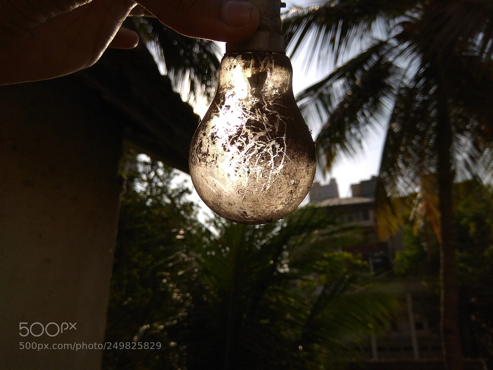 Xiaomi Redmi Note 4 sample photo. Light bulb photography