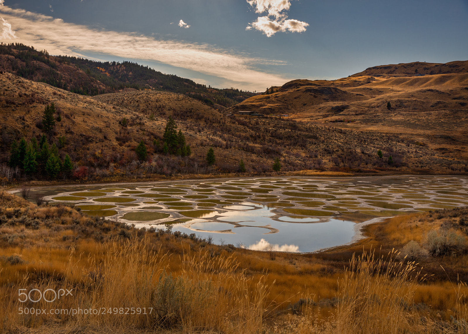Canon EOS 5D Mark IV sample photo. Spotted lake osoyoos bc photography