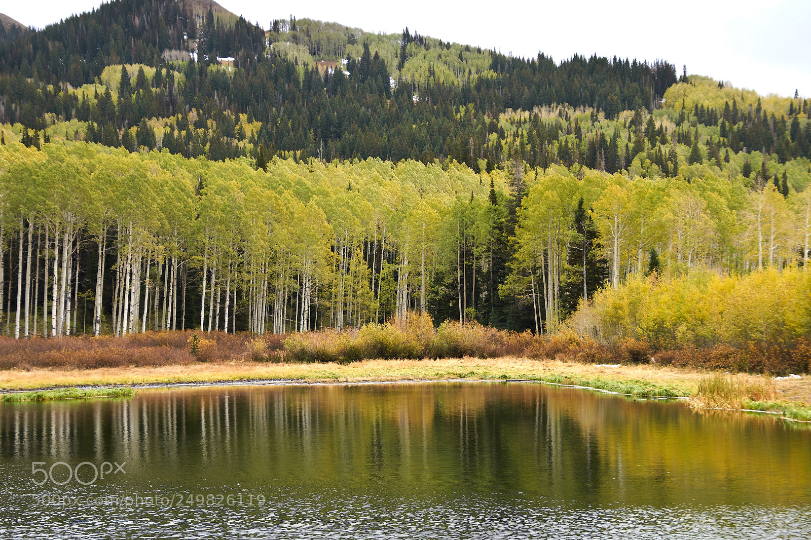 Sony a6500 sample photo. Aspen reflection photography